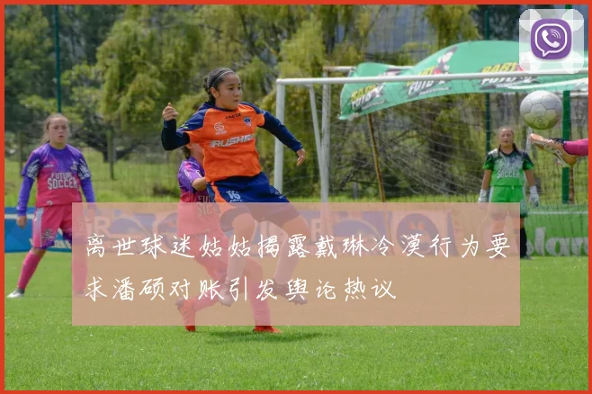 离世球迷姑姑揭露戴琳冷漠行为要求潘硕对账引发舆论热议