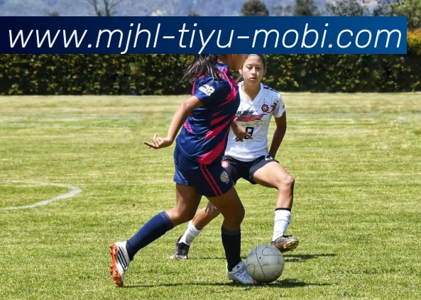 麻将胡了平台生态图