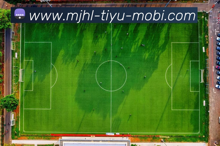 麻将胡了全站App